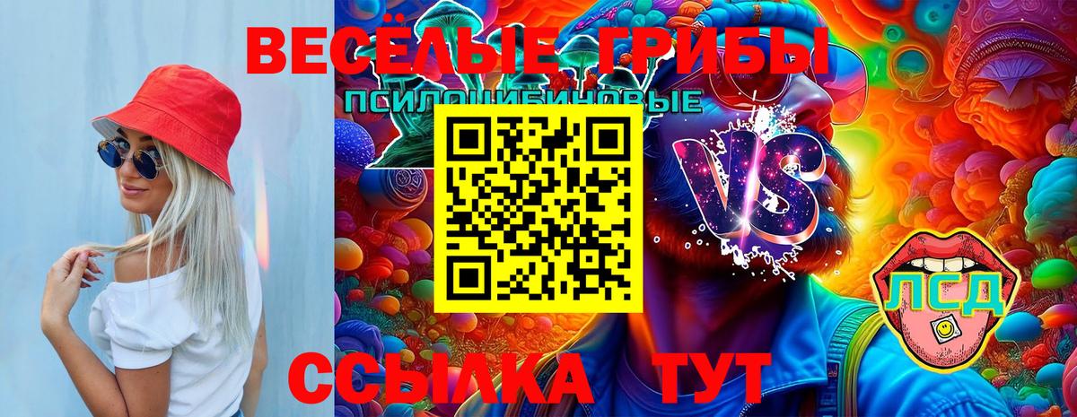 Борзя  продажа наркотиков  Вход с VPN  Галлюциногенные грибы Psilocybe 